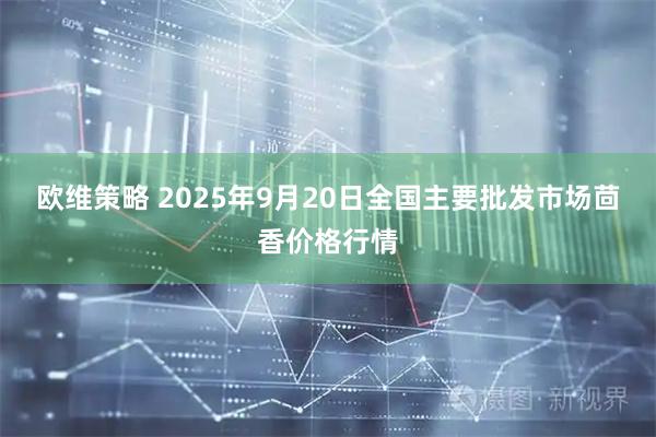 欧维策略 2025年9月20日全国主要批发市场茴香价格行情