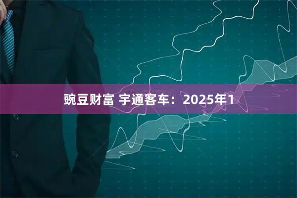 豌豆财富 宇通客车：2025年1