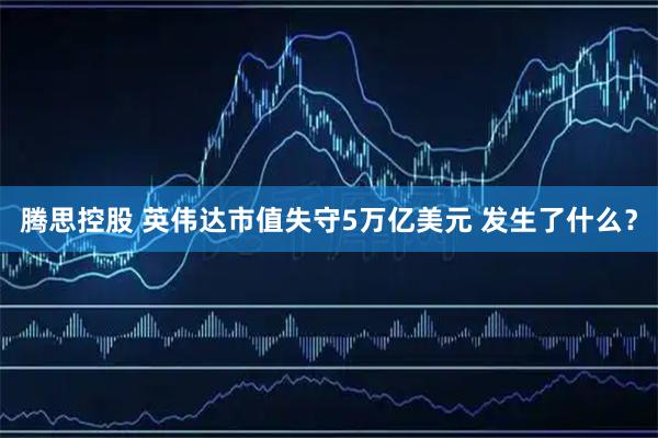 腾思控股 英伟达市值失守5万亿美元 发生了什么？